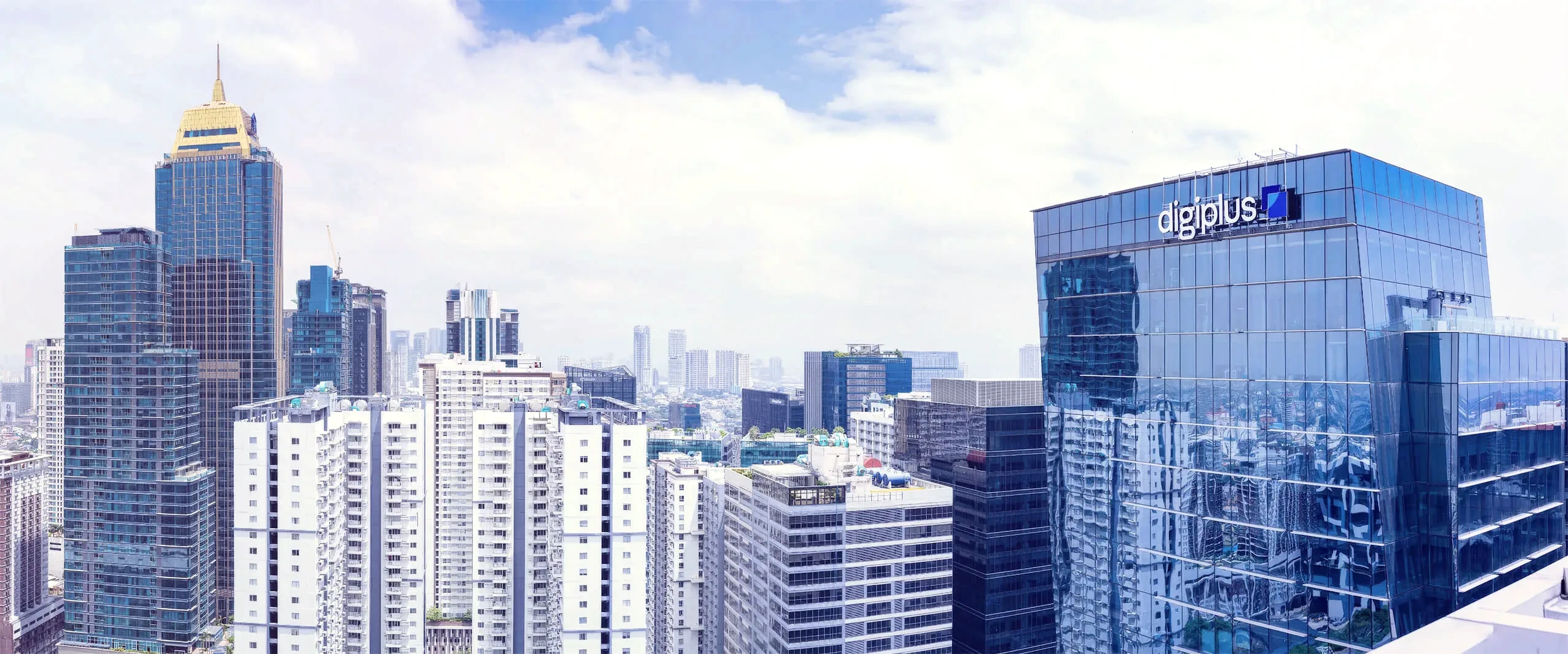 BGC skyline (report section background)